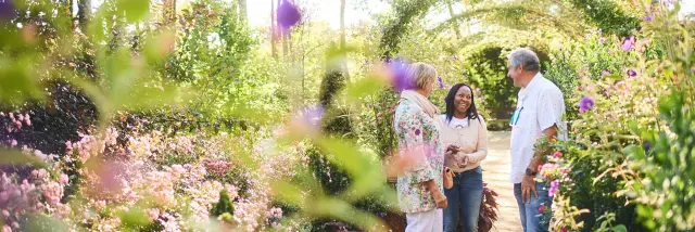 Balade dans le Domaine de Chaumont-sur-Loire