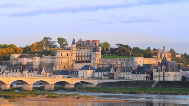 1. Guide Chateau Royal Damboise L. De Serres