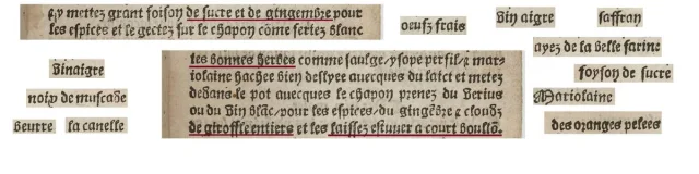 Extrait Du Livre Fort Excellent De Cuysine 1642 Gallica Bnf