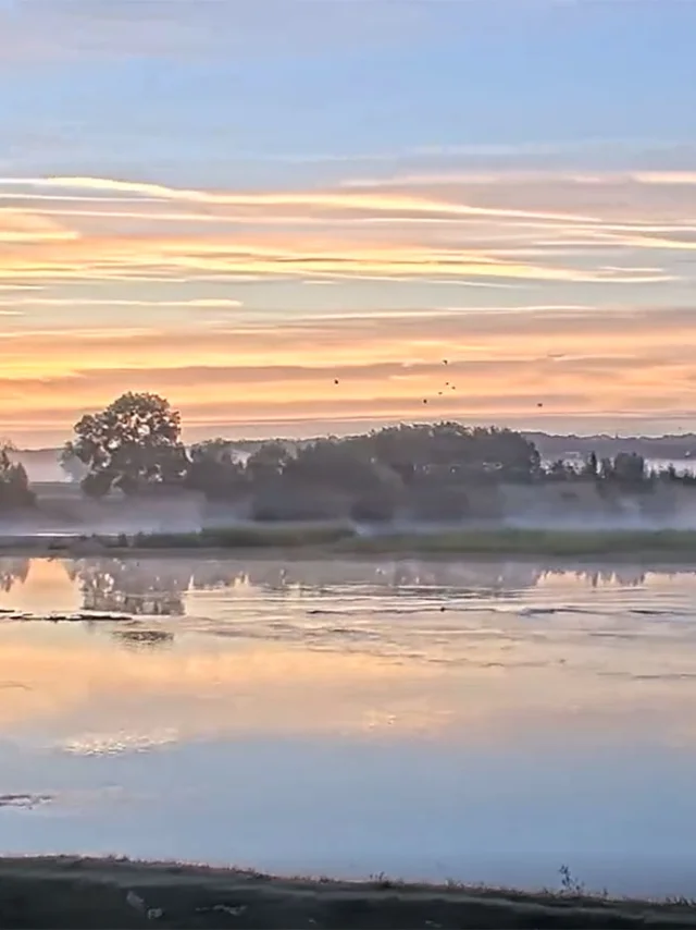 Bandeau Loire Octobre Observatoire Loire
