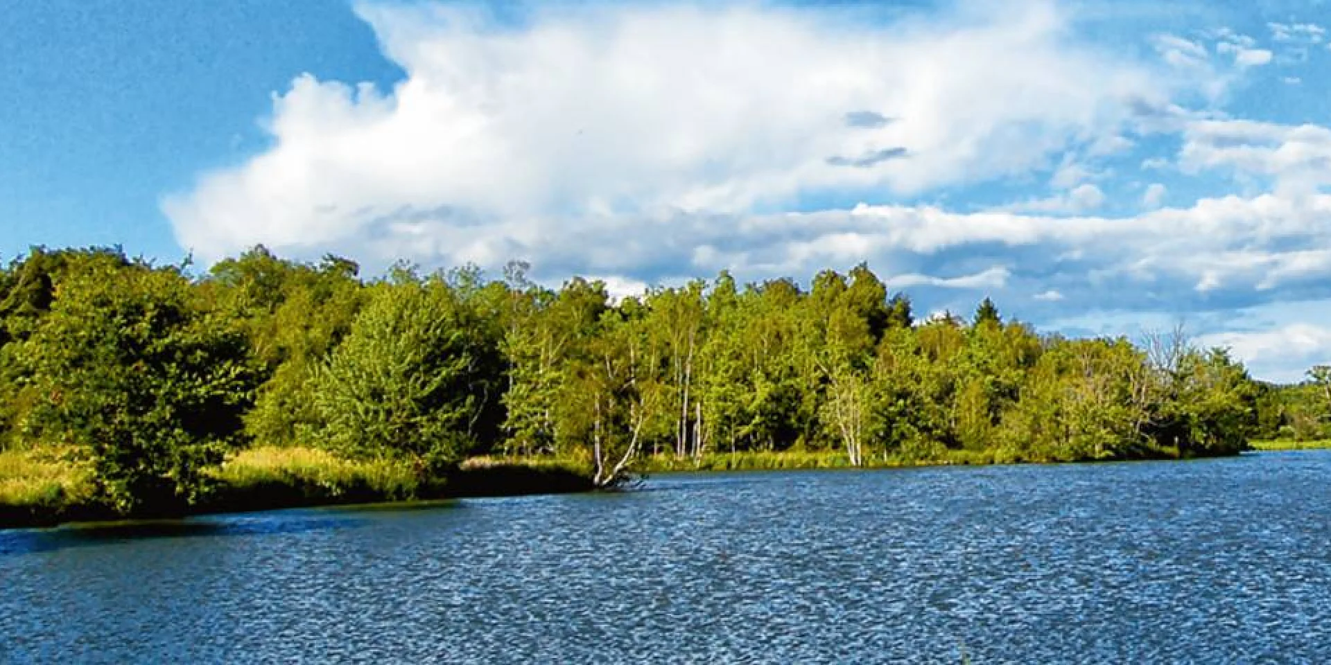 Die Teiche der Sologne Fremdenverkehrsamt Blois Chambord Val de Loire