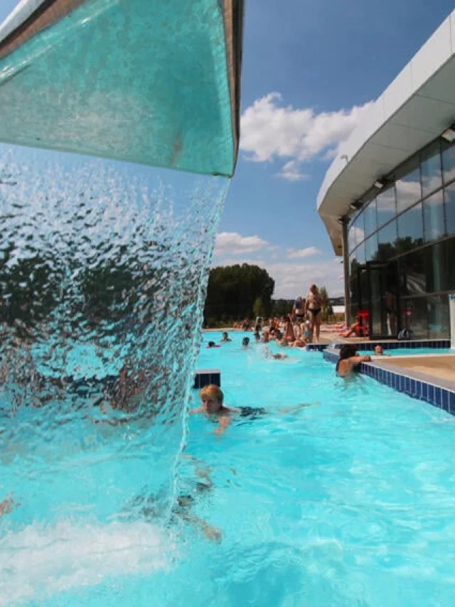 Aquatic