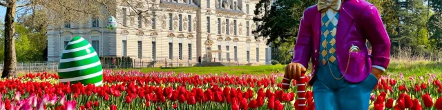 les tulipes du Château de Cheverny