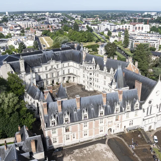 Le château royal de Blois
