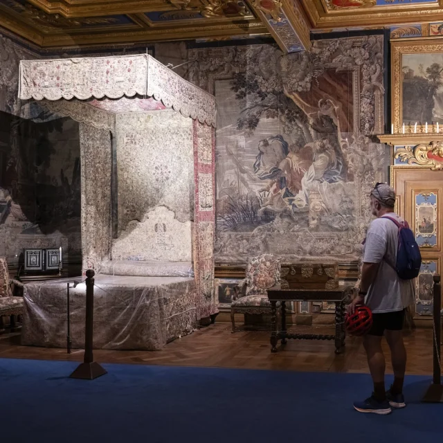 Visite du château de Cheverny