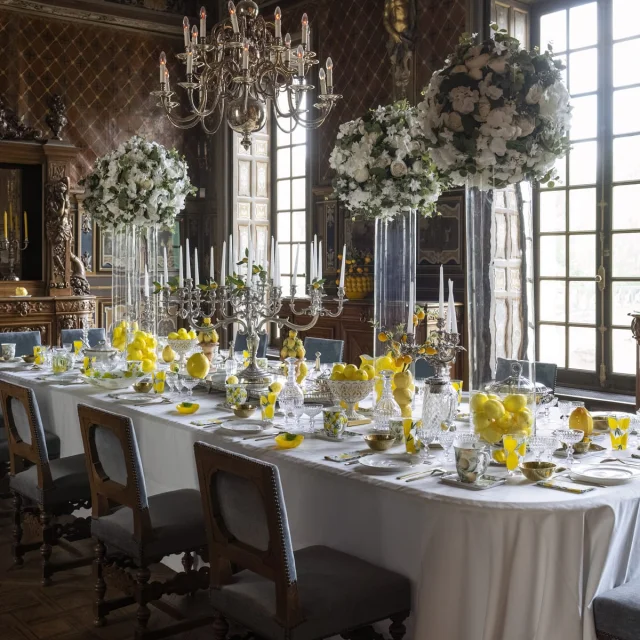 Le château de Cheverny