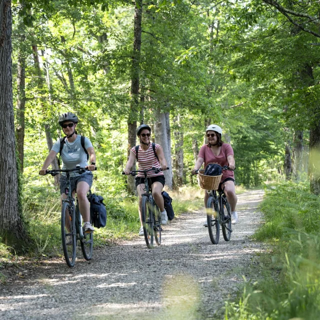 Balade sur les boucles des châteaux de la Loire à Vélo