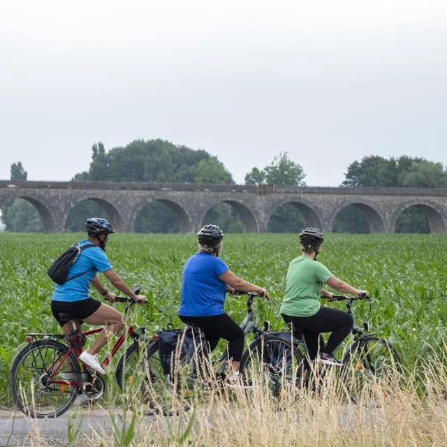 Balade à vélo à Vineuil