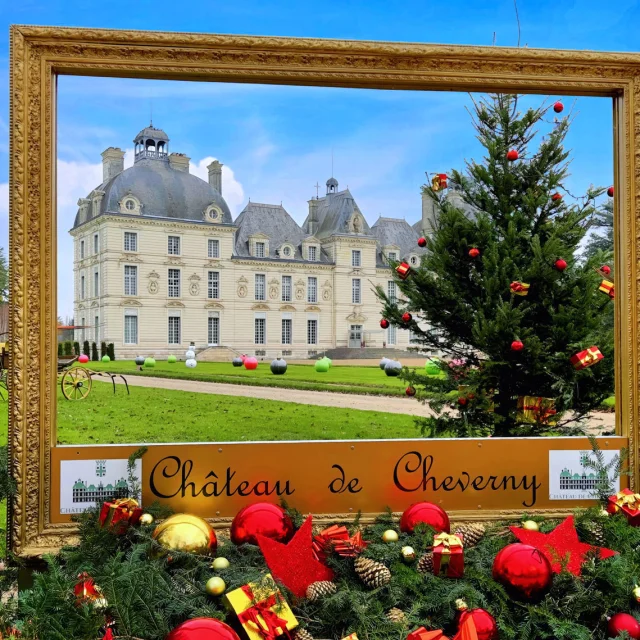 Chateau De Cheverny Noel