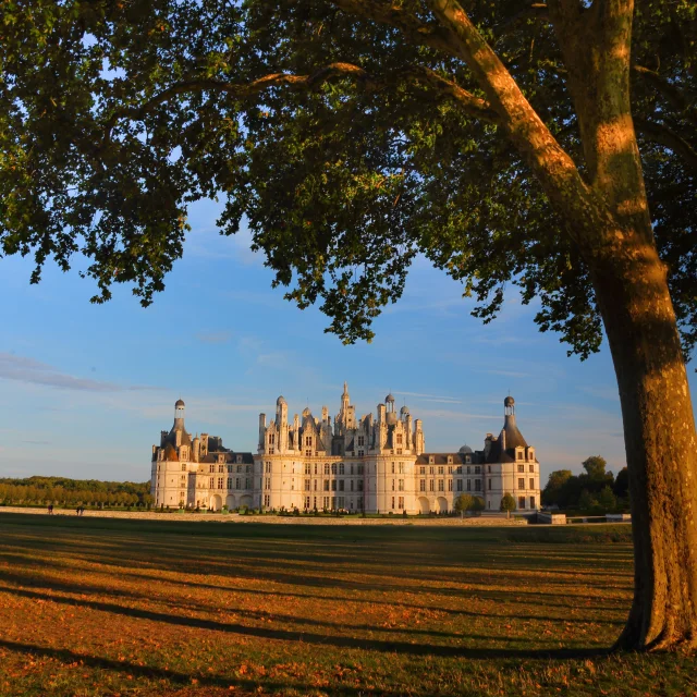 Le château de Chambord et ses couleurs d'automne
